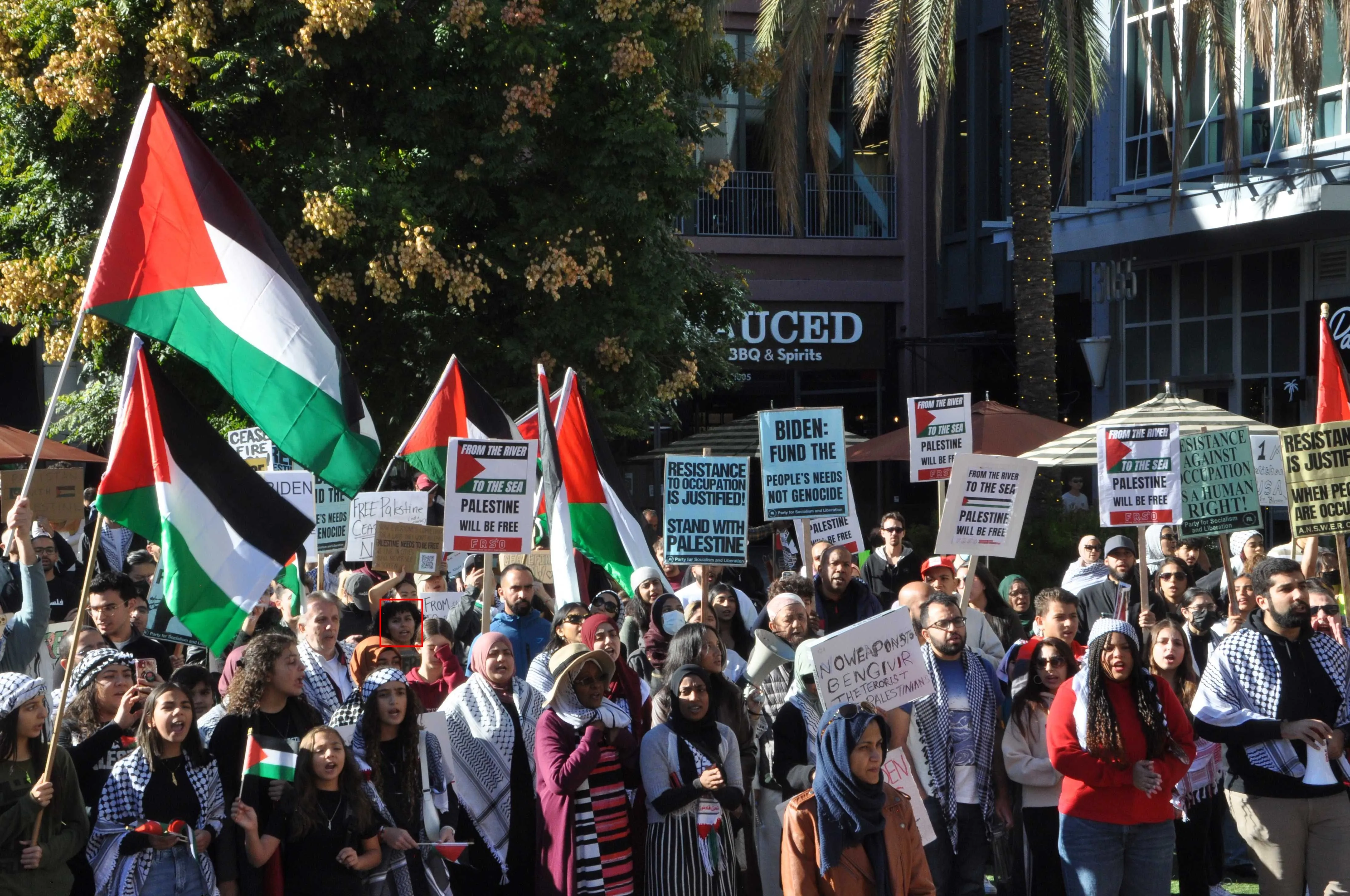 Juritzi torres mendoza  